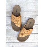 Taos Taos Gift 2