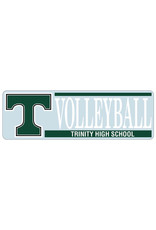 Angelus Pacific Decal Trinity Volleyball