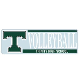 Angelus Pacific Decal Trinity Volleyball