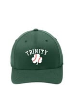 10th Planet Baseball Flexfit Hat