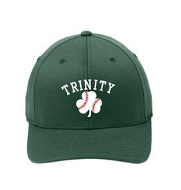 10th Planet Baseball Flexfit Hat