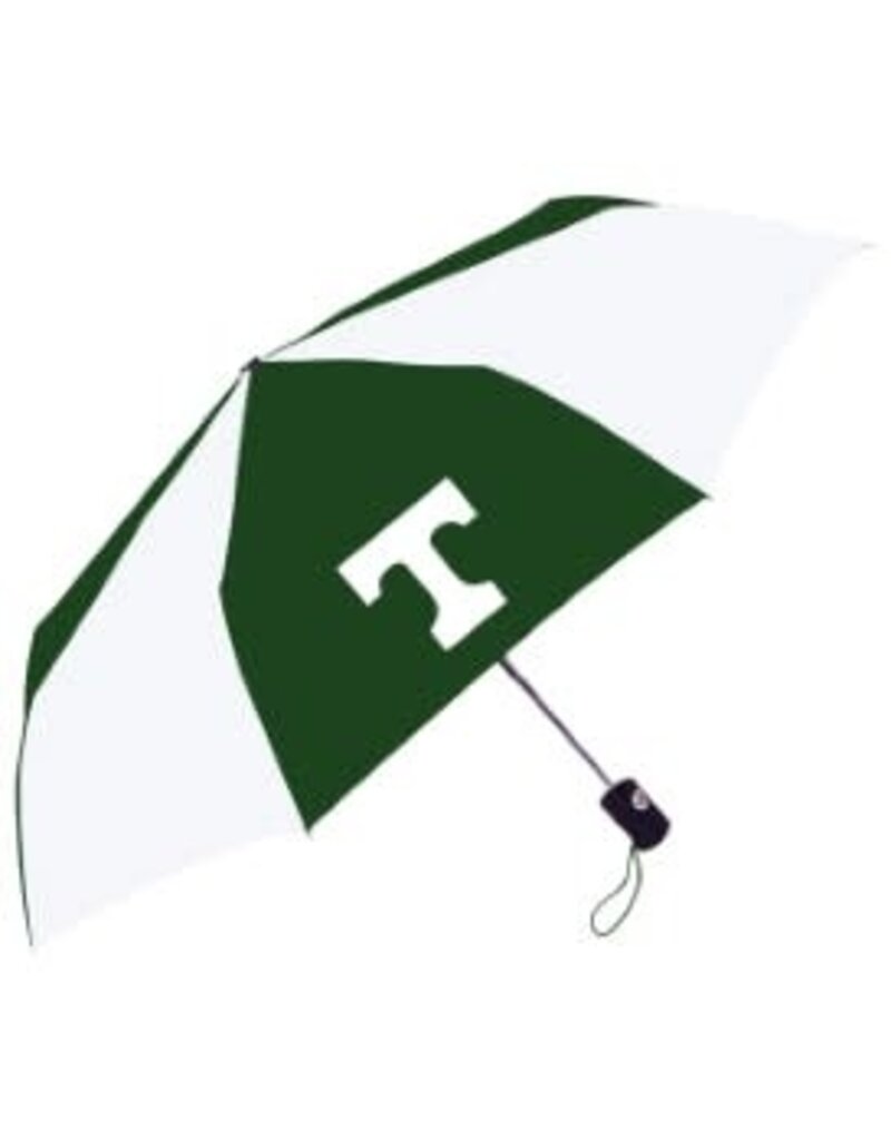 Stormduds Umbrella Automatic Open and Close 42 inch Green/White