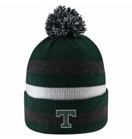 Logo Fit Primetime Knit Cuff Stripe Pom White/ Charcoal/Green Hat