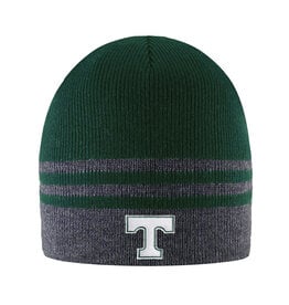 Logo Fit Knit Stripe Beanie Charcoal/Green