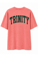 Chicka-d The Band Tee  Dusty Rose Soft Cotton by Chicka-d