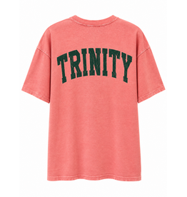 Chicka-d The Band Tee  Dusty Rose Soft Cotton by Chicka-d