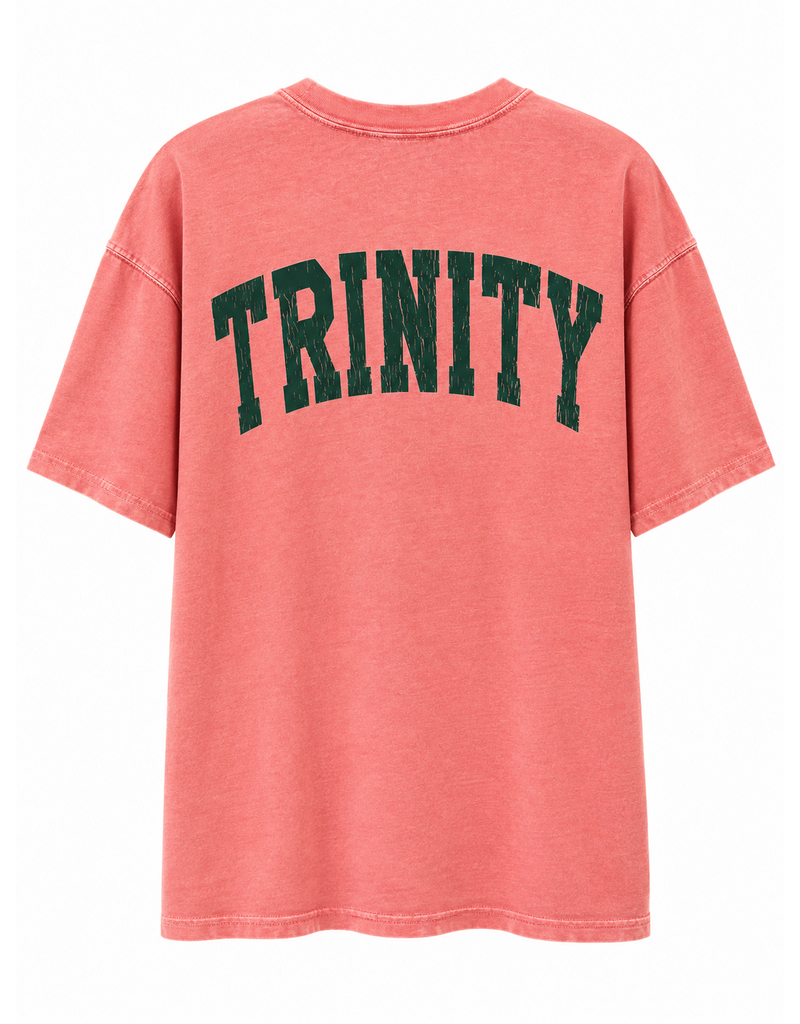 Chicka-d The Band Tee  Dusty Rose Soft Cotton by Chicka-d