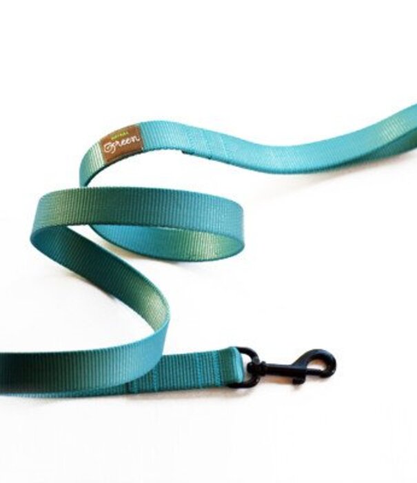 MIMI GREEN Mimi Green Webbing Leash 5 ft