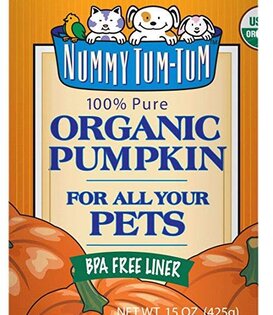 Nummy Tum Tum Pumpkin Can 15 OZ