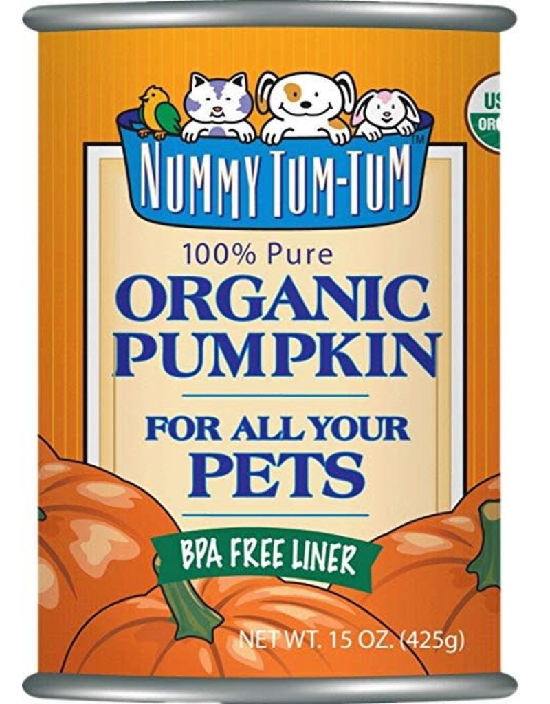 Nummy Tum Tum Pumpkin Can 15 OZ