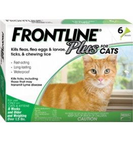 Frontline Cats & Kittens