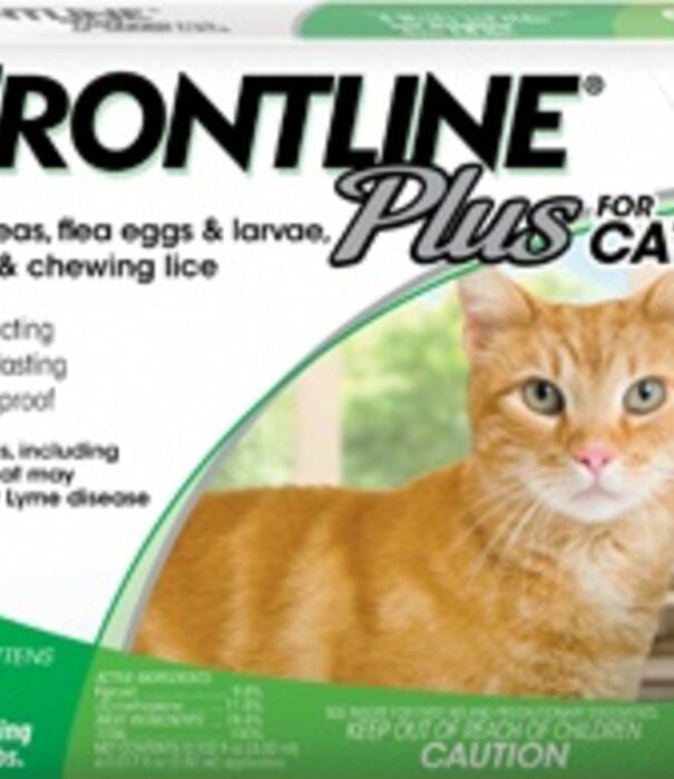Frontline Cats & Kittens