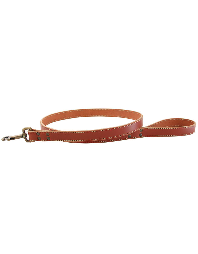 AUBURN LEATHERCRAFTERS Auburn Leathercrafters Lake Country Stitched Leash 1X72