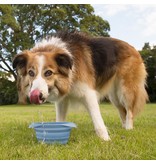 Kurgo Collaps A Bowl