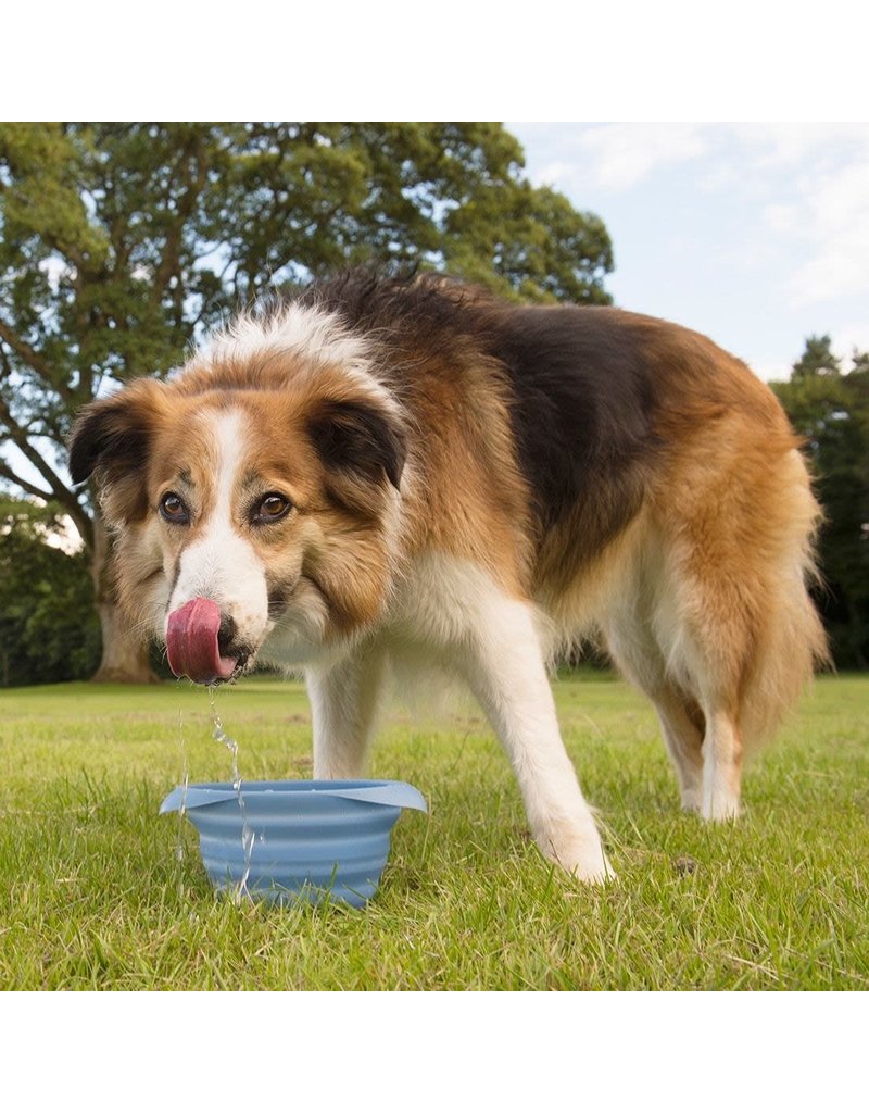 Kurgo Collaps A Bowl