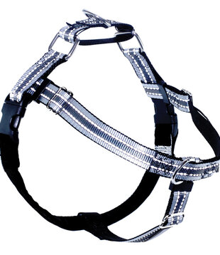 Reflective Freedom Harness Training Pack 1" Medium