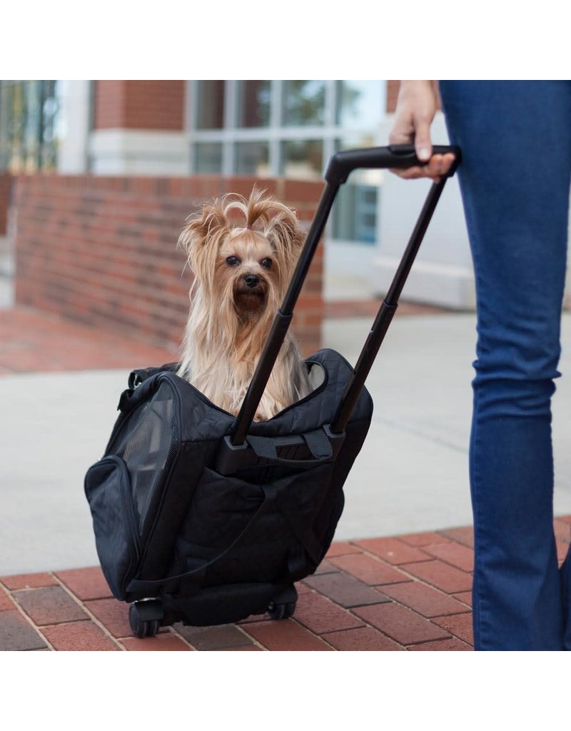 medium dog carrier backpack