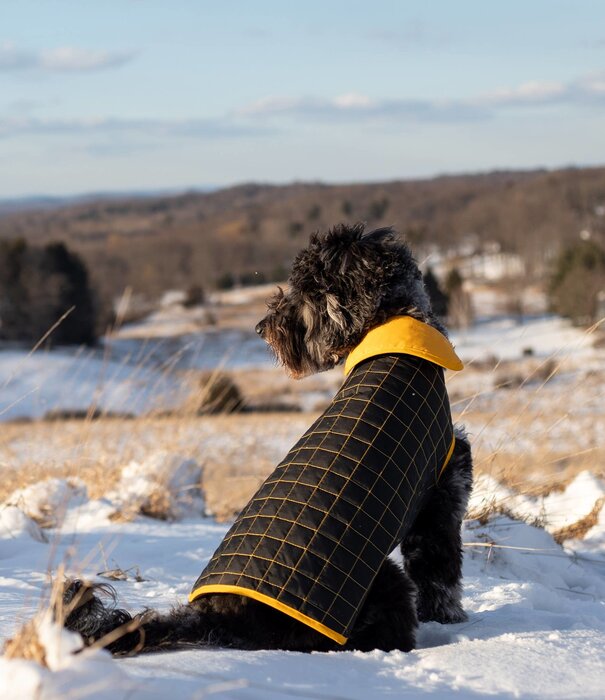 Paco & Lucia Paco & Lucia Dog Jacket Yaku