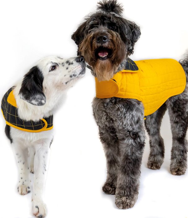 Paco & Lucia Paco & Lucia Dog Jacket Yaku