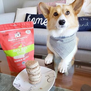 Freeze-Dried