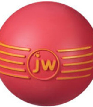 JW ISqueak Small Dog Toy Ball
