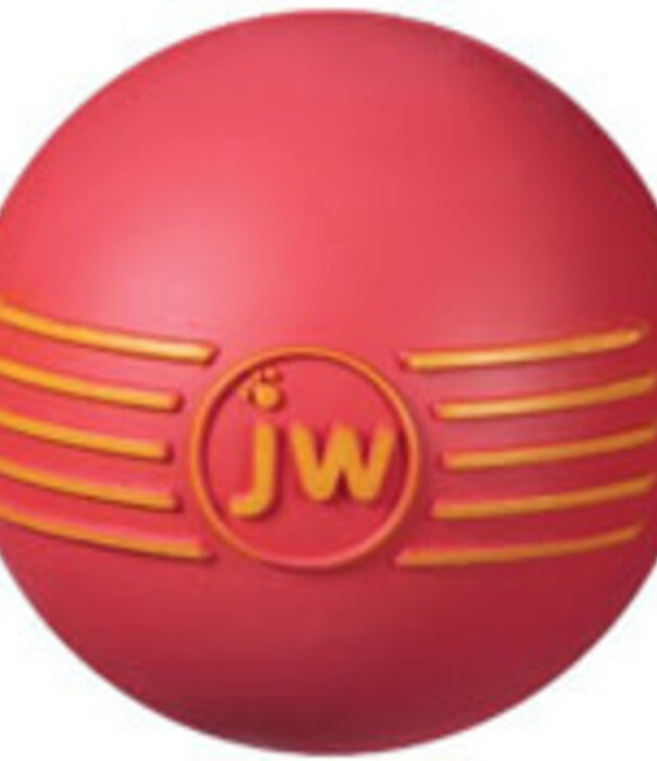 JW ISqueak Small Dog Toy Ball