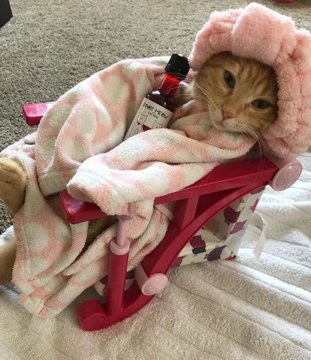 PetWineShop PetWineShop Cat Wine