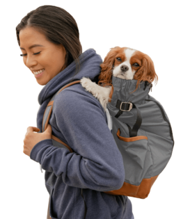 K9 Sport Sack Urban 2