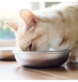 Americat Americat Stainless Steel Cat Bowl