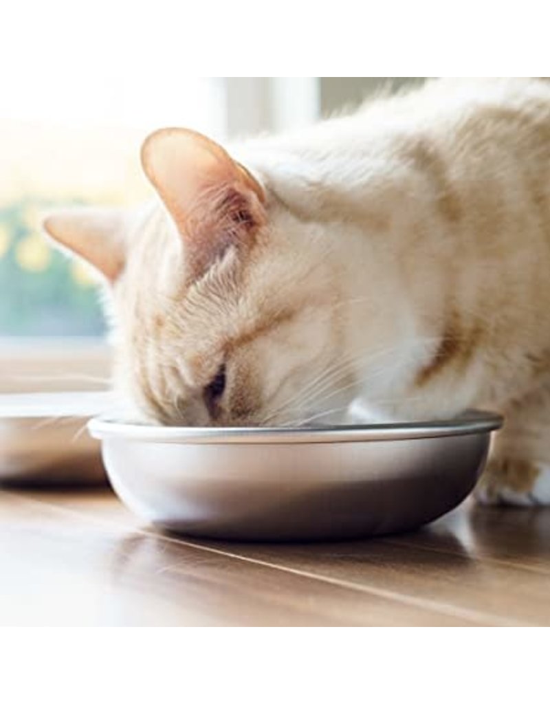 Americat Americat Stainless Steel Cat Bowl