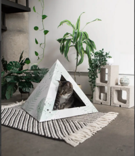 Kitty Kardboard Cat Box