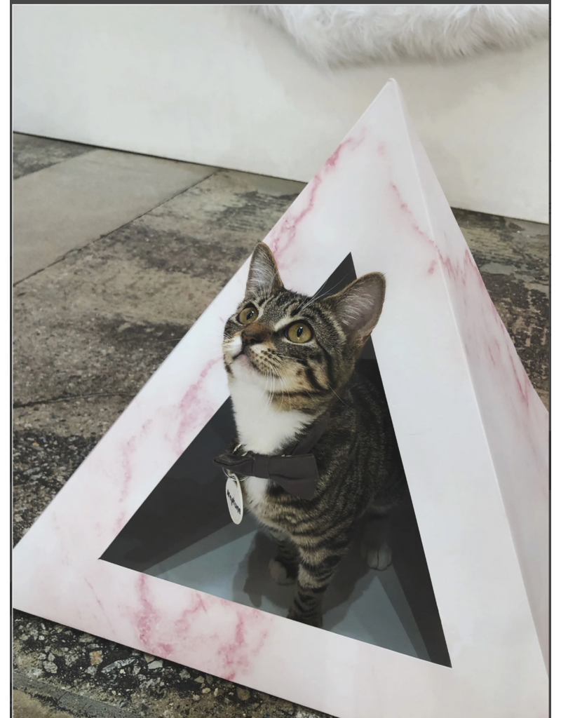 Kitty Kardboard Kitty Kardboard Cat Box