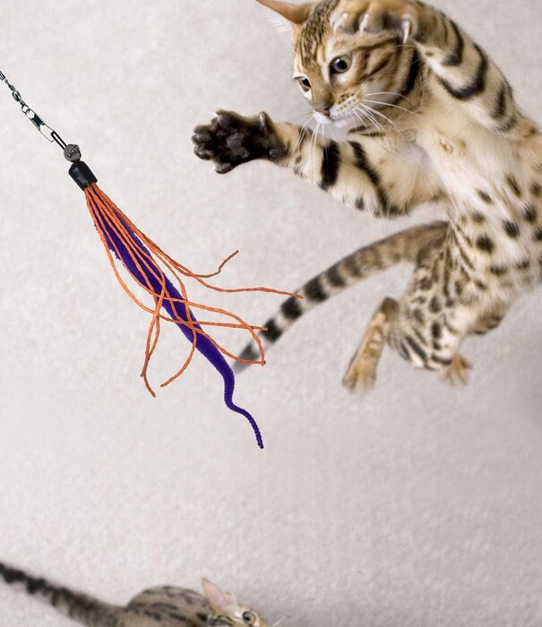Dezi & Roo Dezi & Roo Wiggly Wand Cat Toy