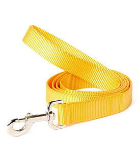 Mimi Green Webbing Leash 4 Feet