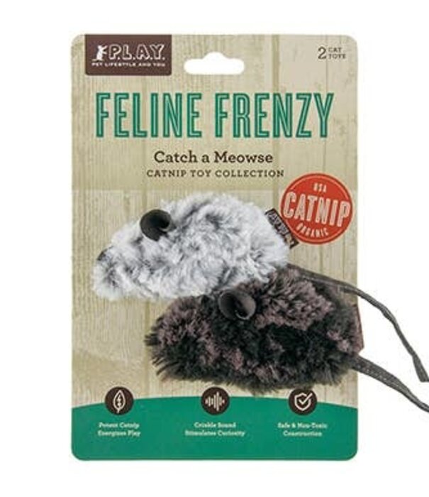 P.L.A.Y. Feline Frenzy