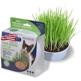 Van Ness Plastic Cat Fresh Greens