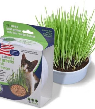 Van Ness Plastic Cat Fresh Greens