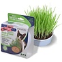 Van Ness Plastic Cat Fresh Greens