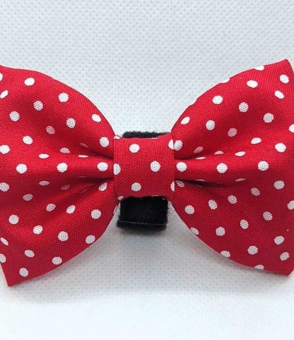 Stevie's Style Bowties Stevie's Style Bowties