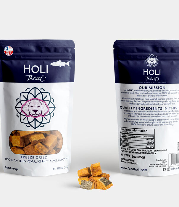 Holi Chow Holi Chow Dog Freeze Dried Salmon Treats 4 oz