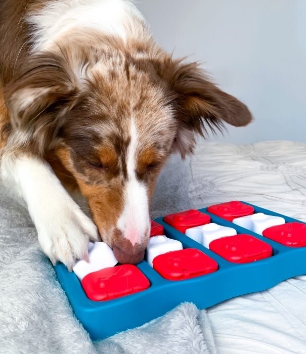 Nina Ottosson Nina Ottosson Dog Brick