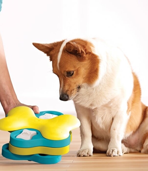 Nina Ottosson Nina Ottosson Dog Games Tornado - Blue