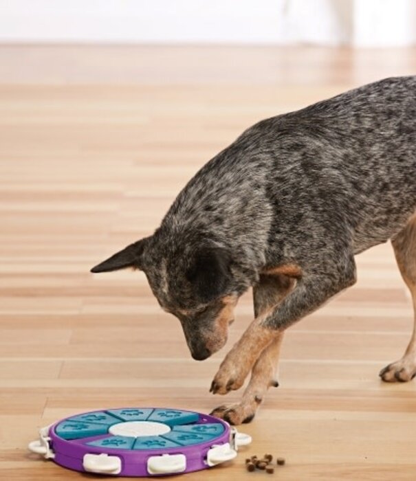 Nina Ottosson Nina Ottosson Dog Games Twister - Purple
