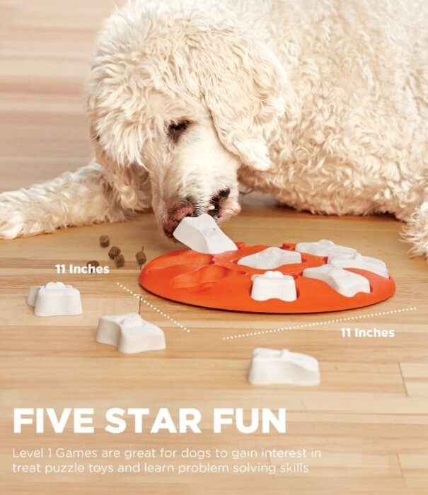 Nina Ottosson Nina Ottosson Dog Games Smart - Orange