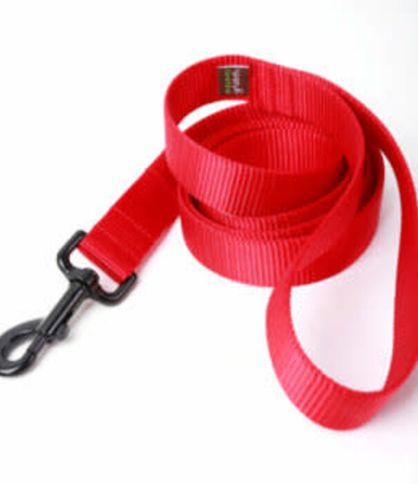 MIMI GREEN Mimi Green Webbing Leash 5 ft