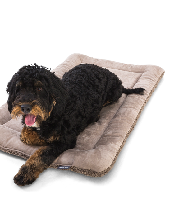 West Paw Design West Paw Big Sky Nap XL