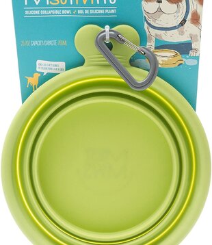 Messy Mutts Collapsible Bowl Green 1.5 Cup