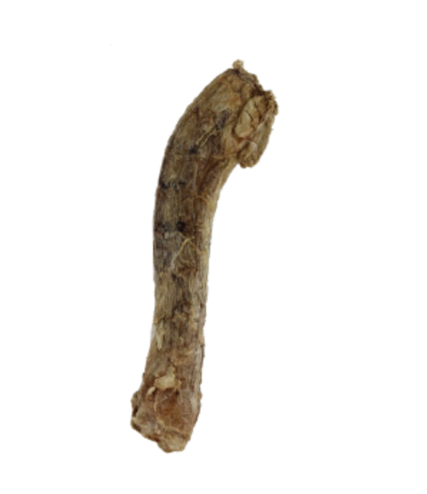 Vital Essential Freeze Dried Duck Neck
