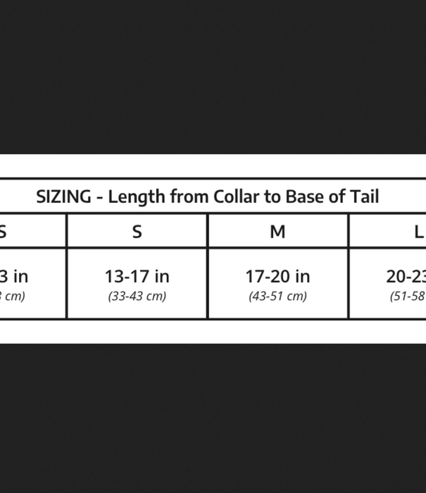 K9 Sport Sack K9 Sport Sack Air 2 Mint