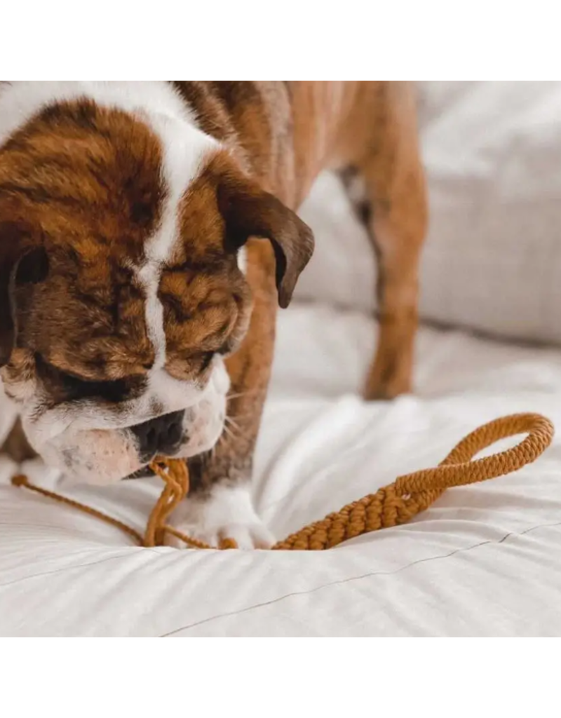 Ember &  Ivory Ember & Ivory - Macrame Rope Dog Toy